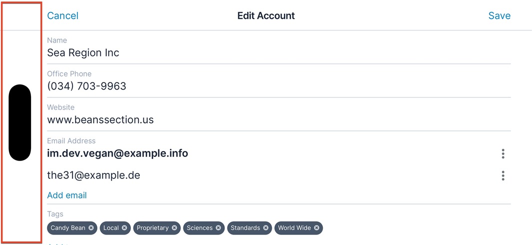 iPhone dynamic island