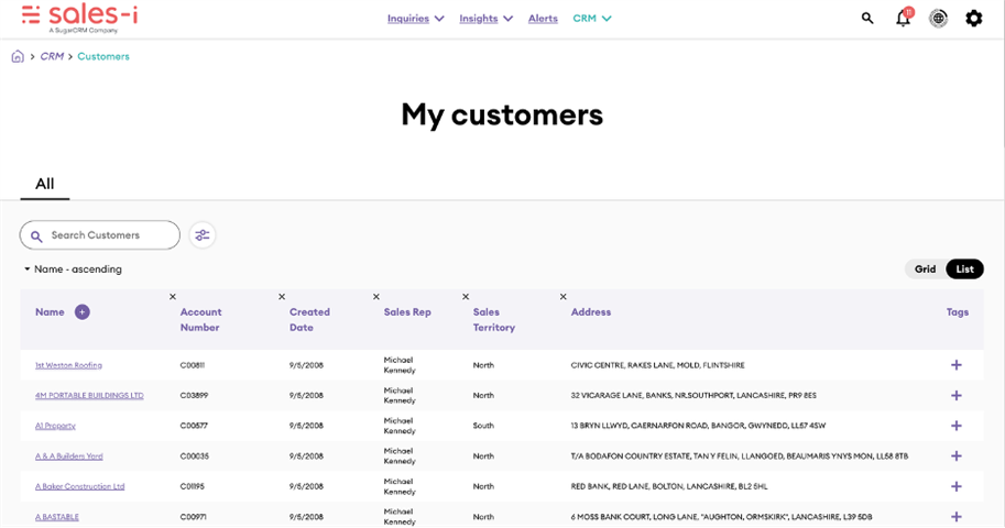 4) The view is updated to show the customer accounts based on the filter